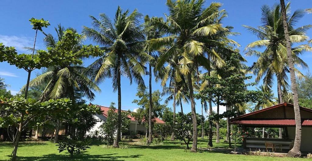 Amigos Bungalows Gili Meno Ngoại thất bức ảnh
